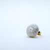 Sea Urchin